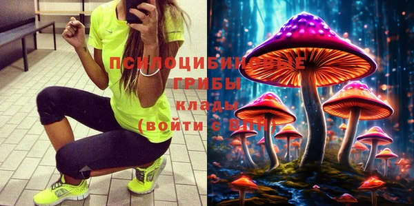 PSILOCYBIN Алексеевка