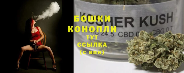 PSILOCYBIN Алексин