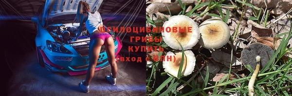PSILOCYBIN Алексеевка